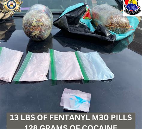 K-9 detects 13 pounds of fentanyl pills, 128 grams of cocaine